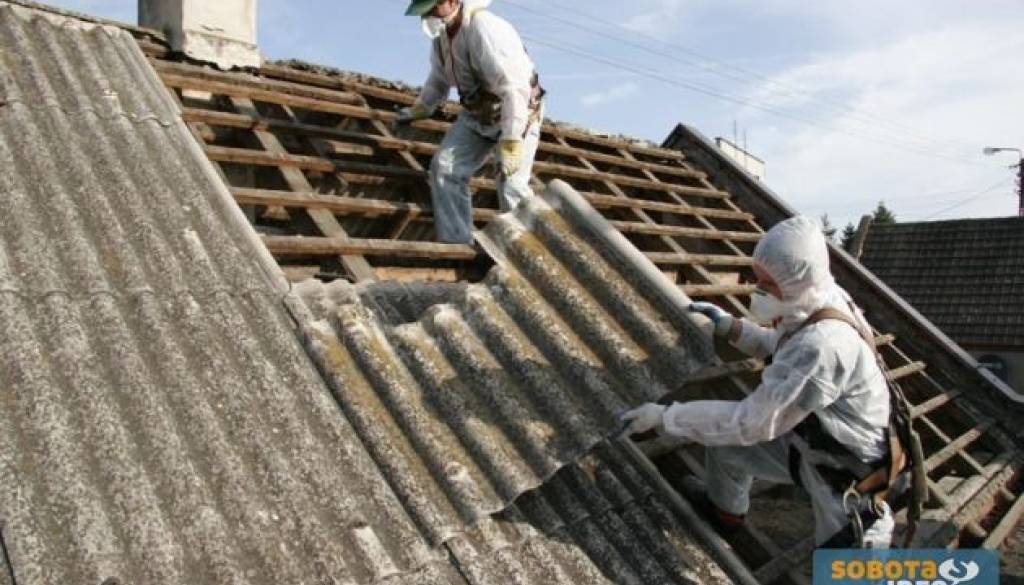Na konferenci so predstavili učinke in nevarnosti azbesta na zdravje ljudi in okolje, preventivne ukrepe, s katerimi lahko ljudi in naravo obvarujemo pred škodljivimi vplivi azbesta ter načine, kako pravilno ravnati z odpadki, ki vsebujejo azbest.