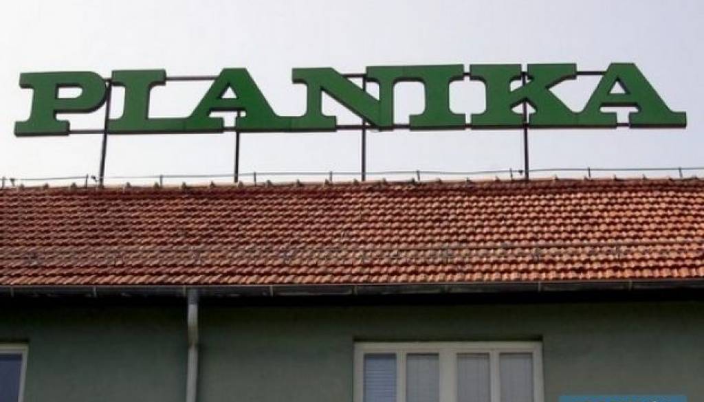 Planika.jpg