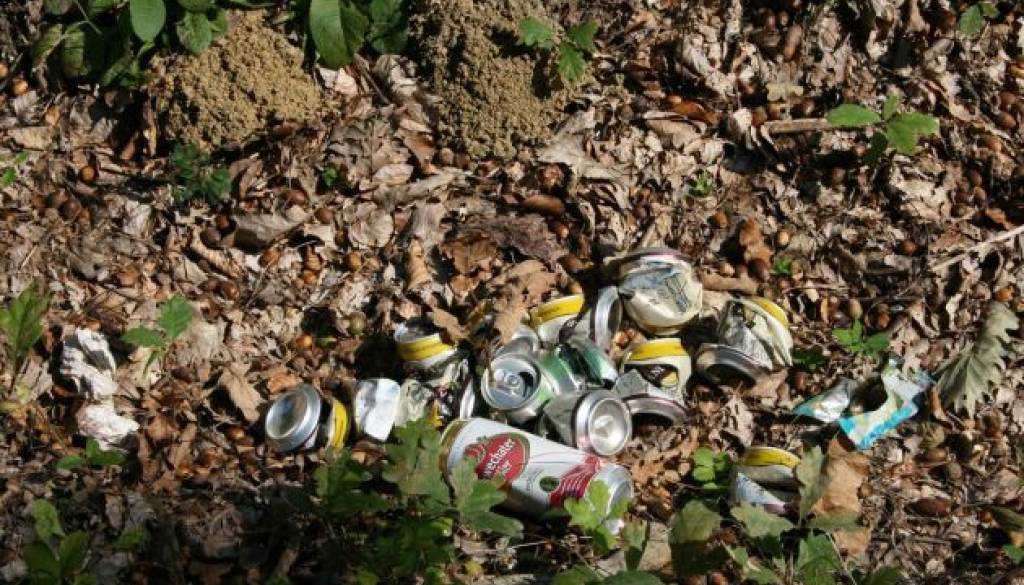 Smeti v jarkih na slovensko-avstrijski meji lansko poletje.