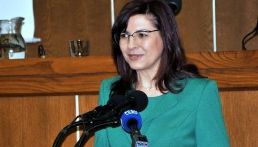Romana Jordan Cizelj, evropska poslanka