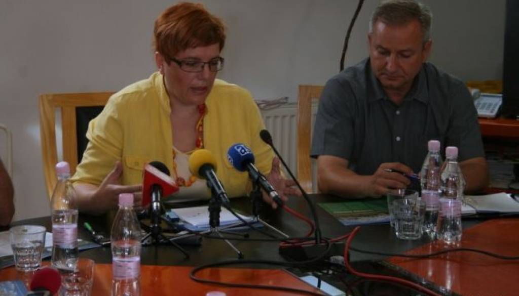 Martina Horvat - Civilna iniciativa za okolju prijazno izgradnjo 2 krat 110 kW daljnovoda Murska Sobota – Mačkovci
