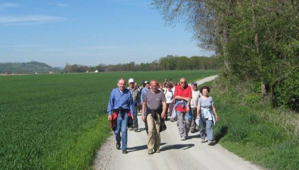 Pohod čemaž1c.jpg