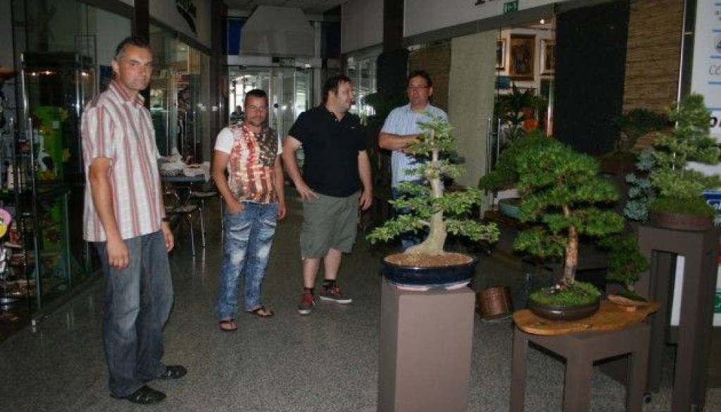Roman Balajc, Tomaž Jug, Boris Hakl, Bogdan Lemut in Andrej Hriberšek so skupno razstavili 21 bonsajev različnih vrst in starosti.