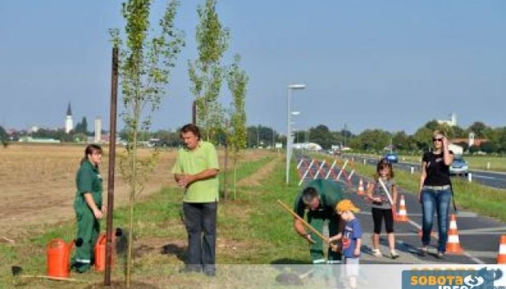 Dela ob rakičanskem drevoredu