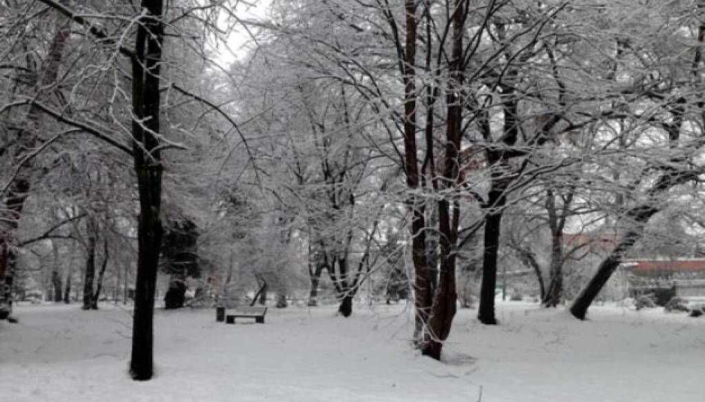 Čas debele snežne odeje je na plano privabil tudi ljubitelje teka na smučeh