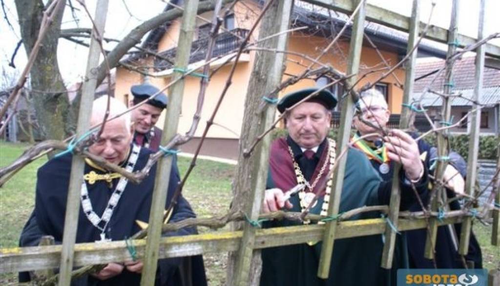 Viteška rez13m.JPG