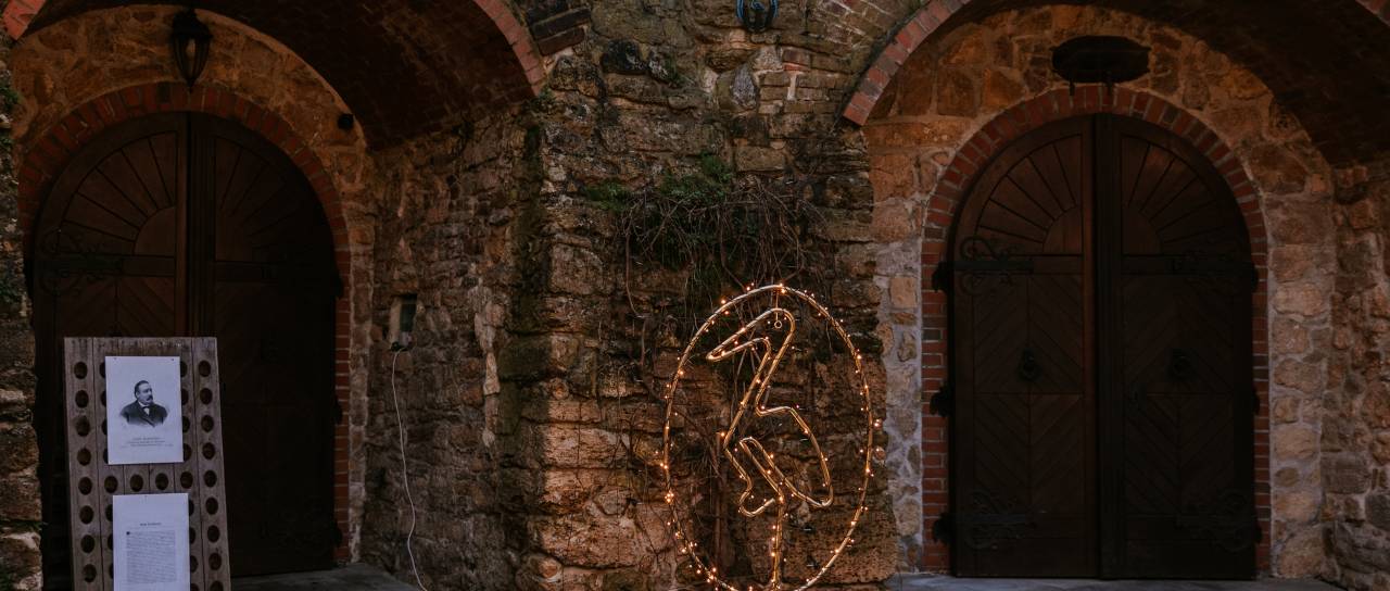 Prižig božičnih lučk v Domu penine: večer, ko zasije tradicija