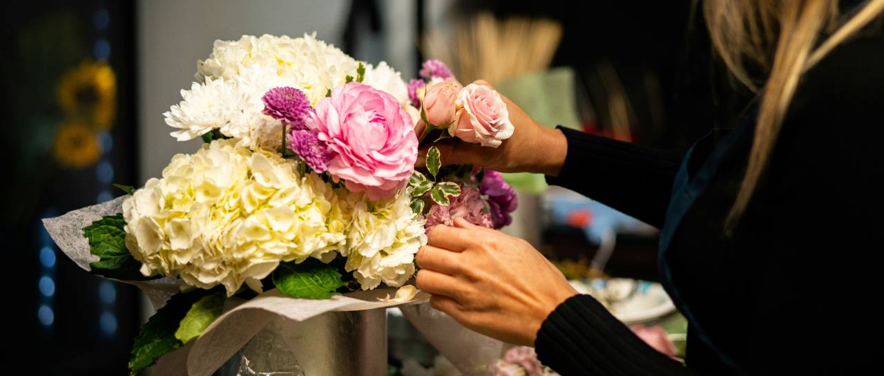 Iščete delo? V Mariboru priložnosti za učitelje in cvetličarje, zaposlijo tudi veterinarja