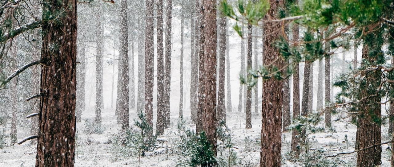 Presenetljiv zimski obrat: Zaradi dveh ključnih pojavov nas čaka več snega in hladnih izbruhov