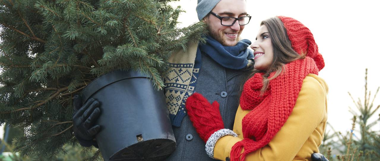 Veliki mesečni horoskop za november 2025: Katera znamenja bodo zaključila staro leto v velikem slogu?