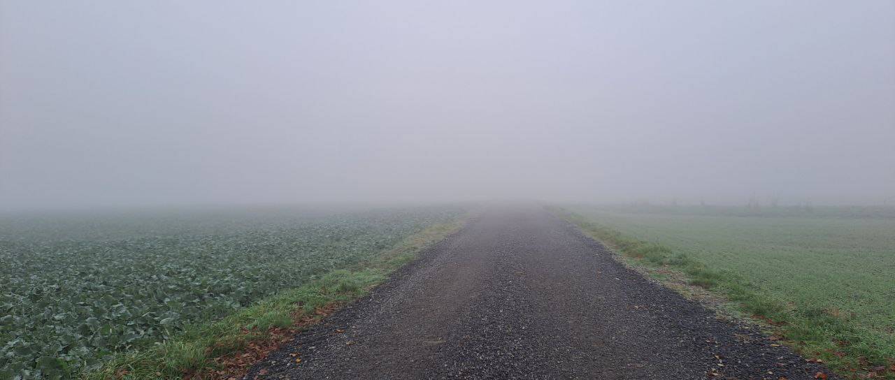 Gosta megla v Pomurju: Preverili smo, kako vpliva na zrak in kaj kažejo meritve PM10