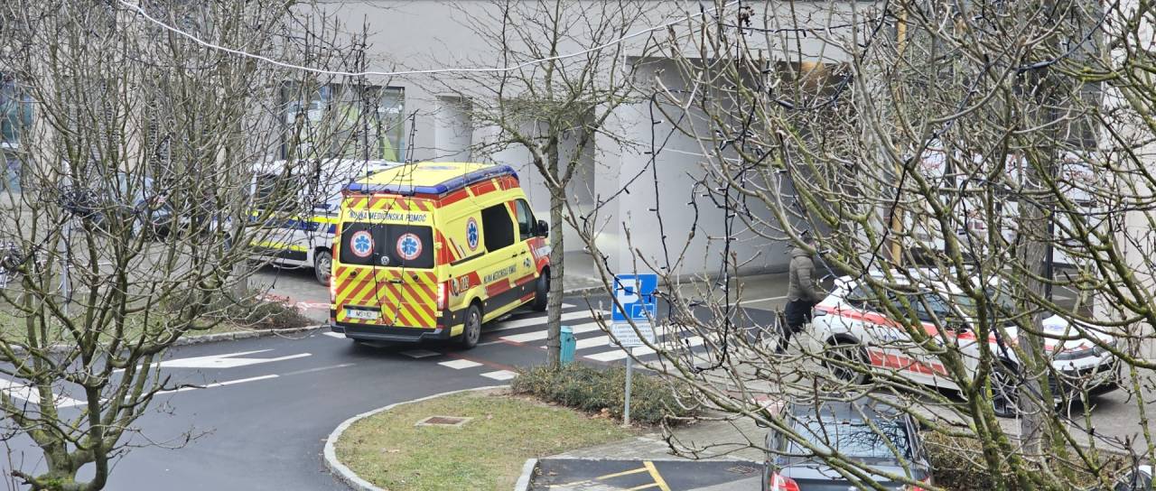 Na Kocljevi ulici posredovala policija 