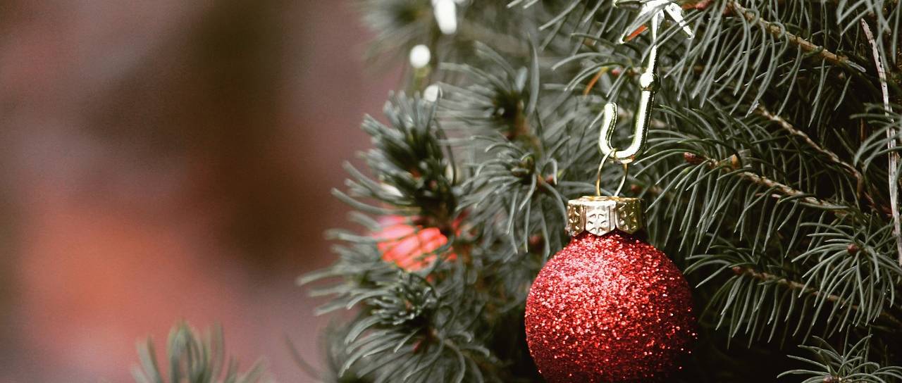 VIDEO: Kupil božično drevo, doma pa doživel šok