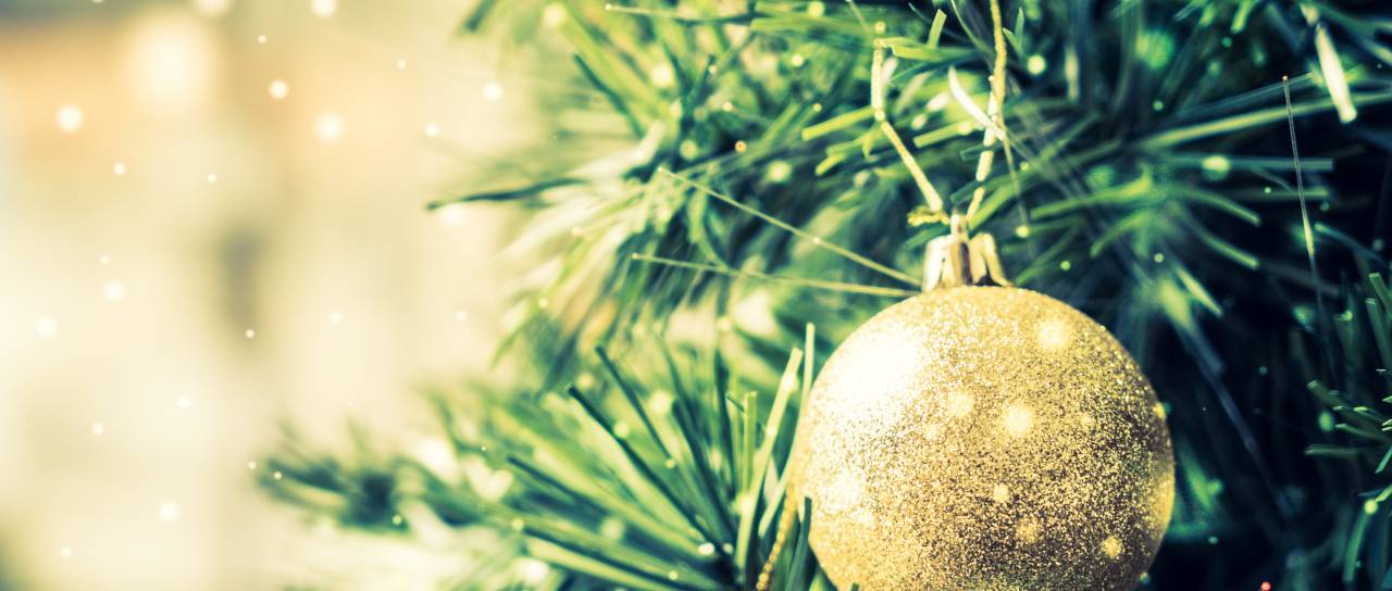 VIDEO: Kupil božično drevo, doma pa doživel šok: »Je to šala?«