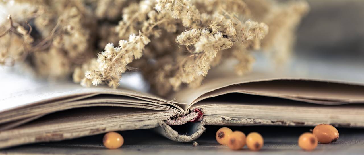 Priložnost za ustvarjalce vseh generacij na temo sreče