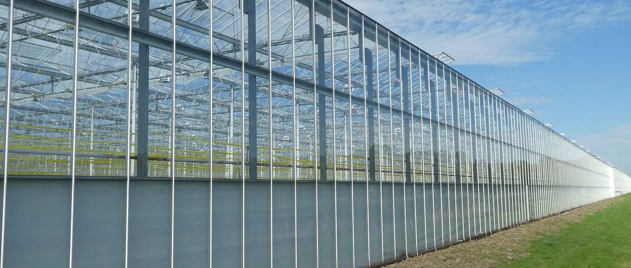 Šestmilijonska investicija pomurskega podjetja, v načrtu gradnja rastlinjaka in ...