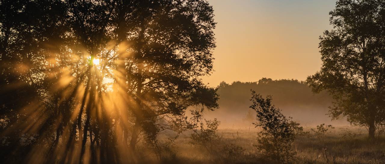 Prihaja vremenski preobrat, kakšno vreme prinaša za začetek tedna?