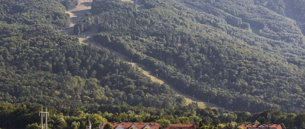 Iščete zemljišče v Mariboru? Občina prodaja dve parceli, toliko staneta