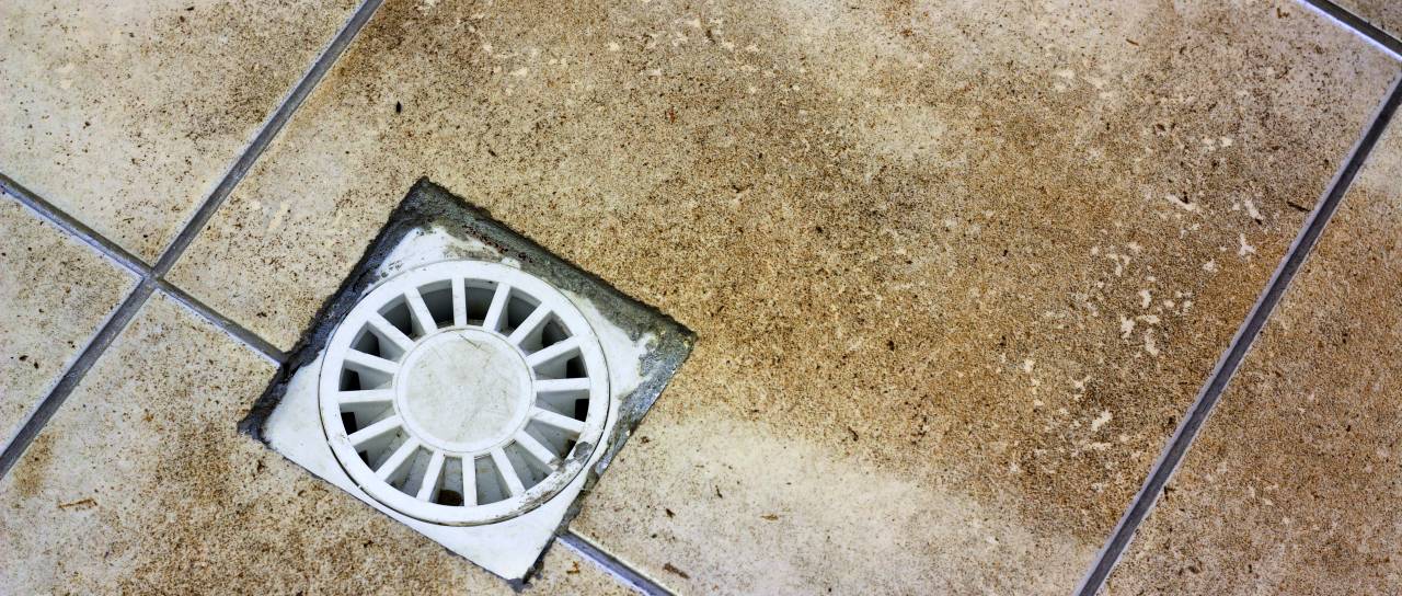 Se vam po kopalnici sprehajajo te drobne mušice? Težava se skriva tam, kjer je ne vidite