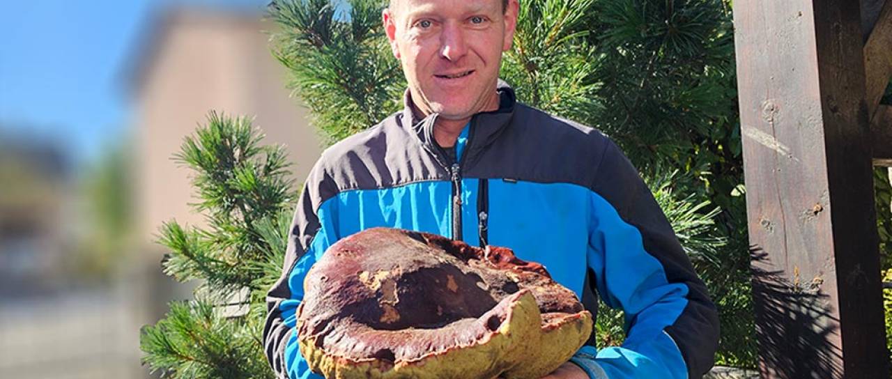 Gozdni velikan presenetil Gorenjca: Tehtal je več kot dva kilograma