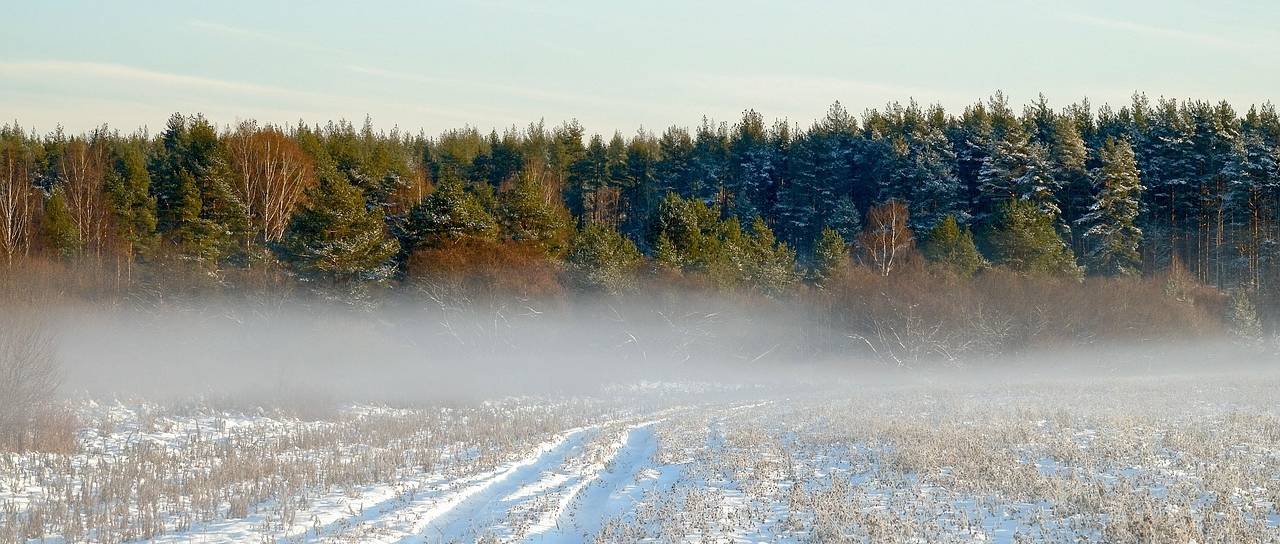 Svet se pripravlja na izjemno močan El Niño. Kaj nas čaka v prihodnjih mesecih?El Niño se krepi, strokovnjaki opozarjajo na ekstremne vremenske razmere