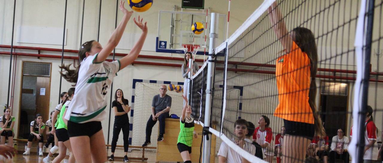 Odbojkarice OŠ Bršljin zmagovalke občinskega tekmovanja