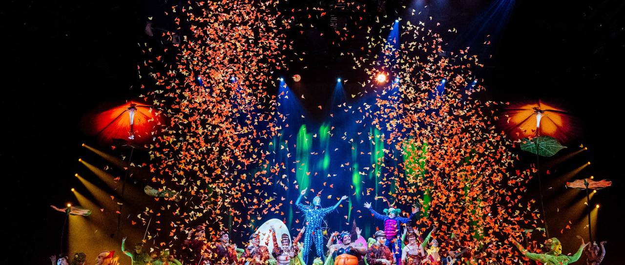 Ekskluzivno: Znameniti Cirque de Soleil v Stožicah: »OVO je svet, v katerem je vse mogoče«