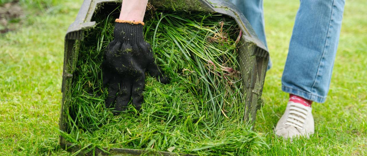 Pokošene trave nikar ne zavrzite: uporabite jo lahko na več koristnih načinov