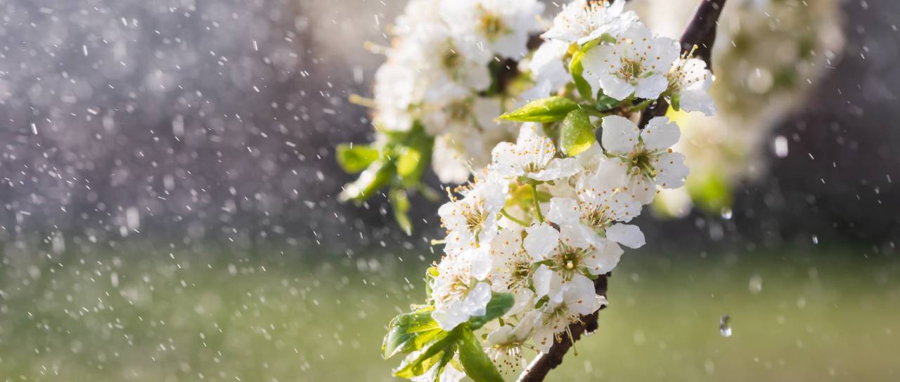 Ljudski vremenar razkriva, kakšno bo vreme za praznike?