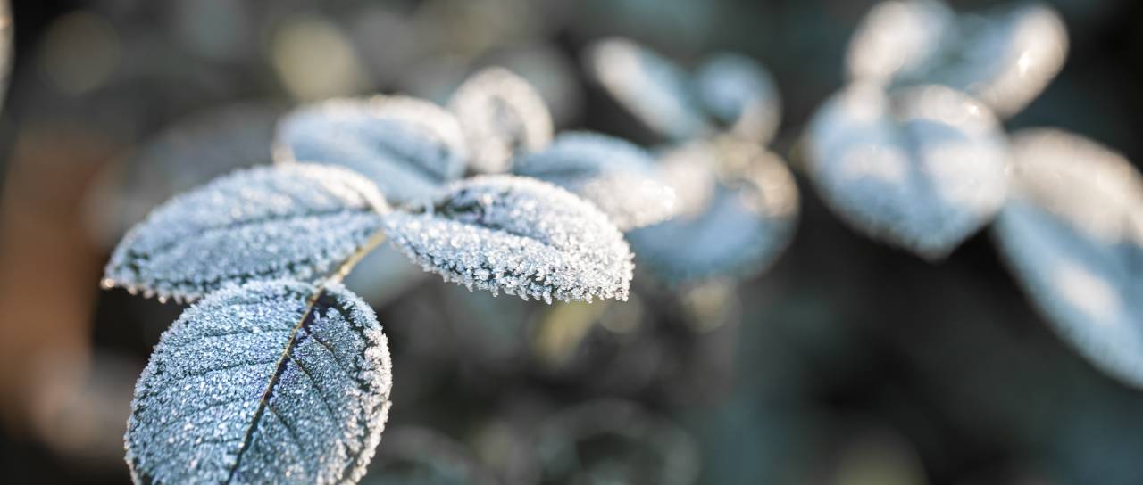 V Ljubljani zjutraj slana, temperature pod ničlo