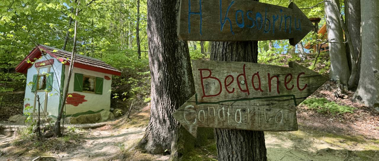 FOTO in VIDEO: Iščete idejo za izlet z otroki? Le pol ure iz Maribora vas čaka pravljični gozd