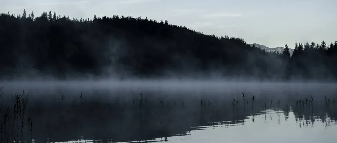 Pogrešana oseba naj bi skočila v Savo, iskalna akcija se je končala brez uspeha
