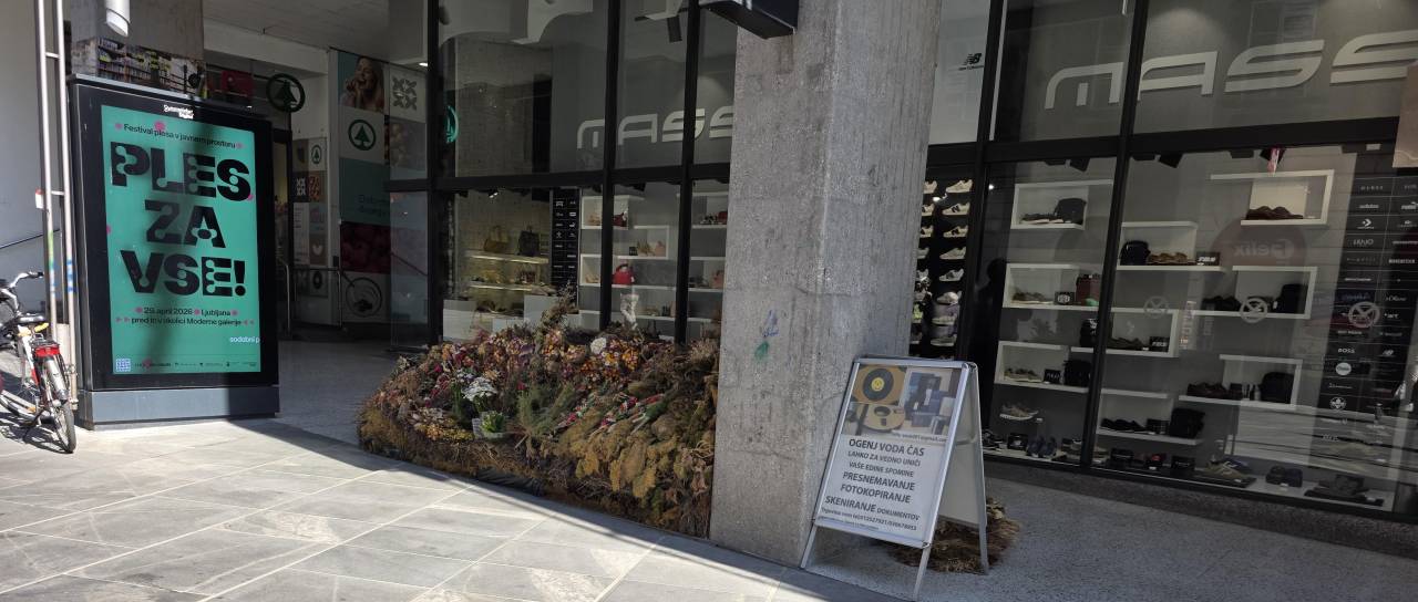 Skrivnostno 'grmovje' na Čopovi: Ljubljančani razkrivajo zgodbo moža, ki že leta prodaja rože