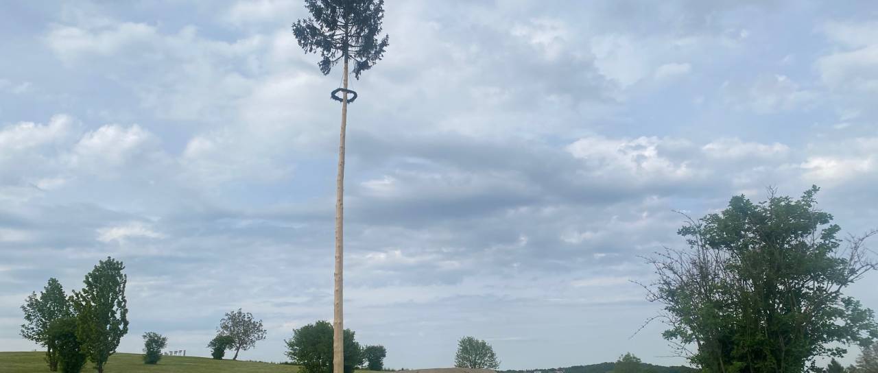 FOTO: Zadnje priprave v teku: Na Ptuju mlaj že stoji, kres kmalu