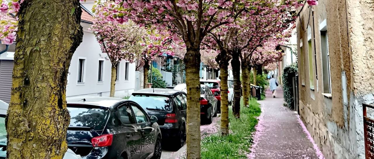 Na 'najlepši' ulici v Ljubljani parkomati, drugje pa referendum proti parkirninam