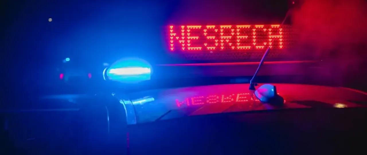 Po nočni drami s konjema na avtocesti policija napovedala ukrepe