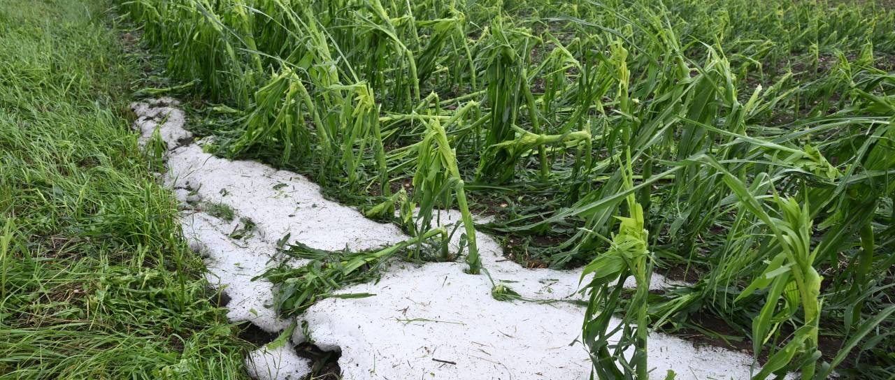 Zakaj se toča po neurju na Ptujskem ni stalila niti naslednji dan? Meteorolog razkriva