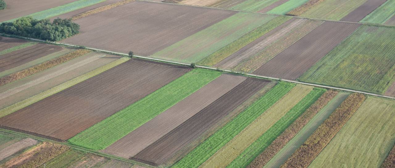 Bo suša podražila krmo v Pomurju? Kmetje zaskrbljeni, prva košnja slabša za kar 60 odstotkov