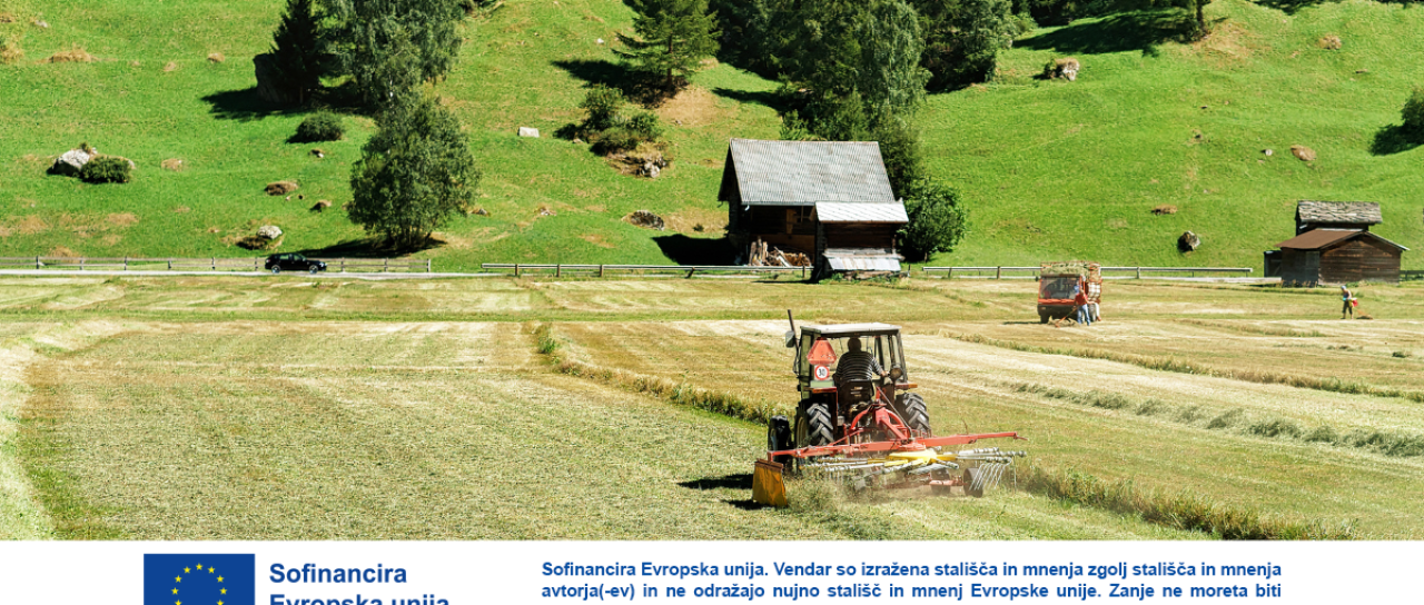 VIDEO: Dve pozebi uničili slovenska jabolka, Bruselj odpira 2,8 milijona evrov iz kmetijske rezerve
