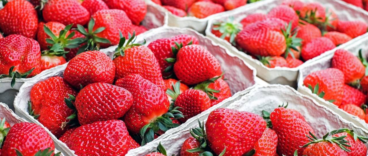 V jagodah za 17 evrov kilogram osem pesticidov
