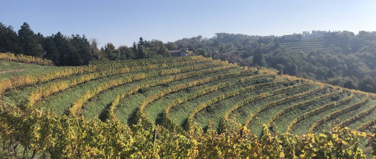 Jesen v Halozah 2026 širi svojo turistično zgodbo, iščejo nove ponudnike
