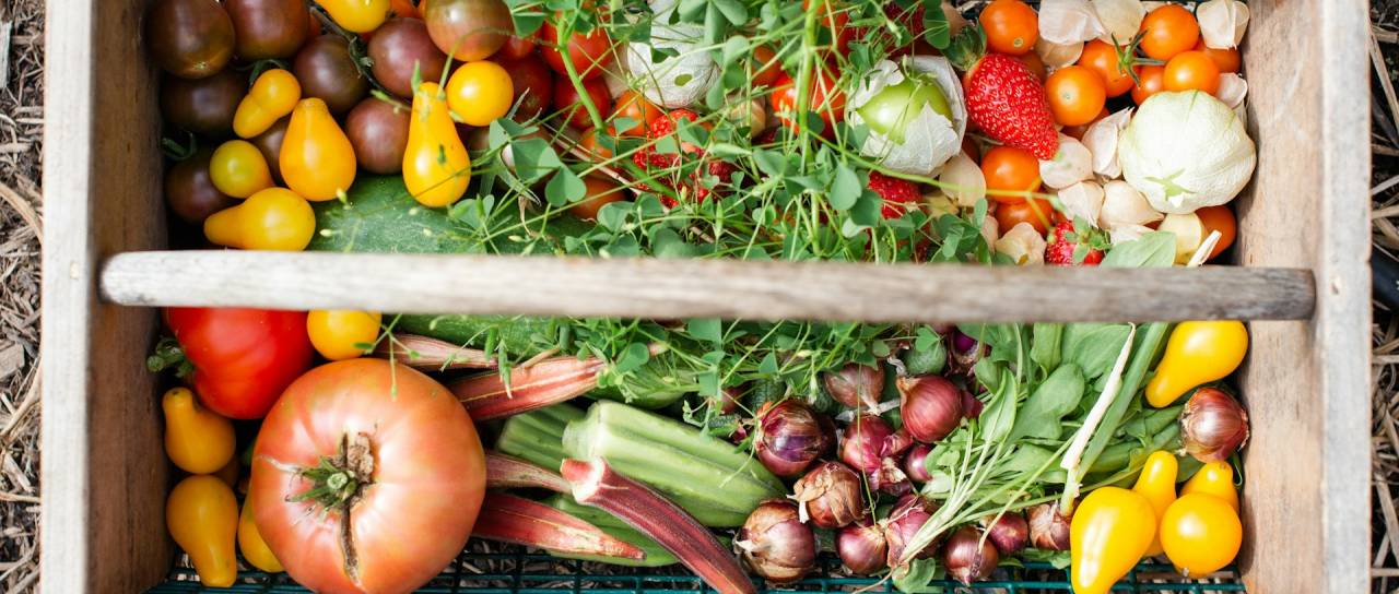 Kaj skuhati julija? Trije hitri recepti s poletno zelenjavo