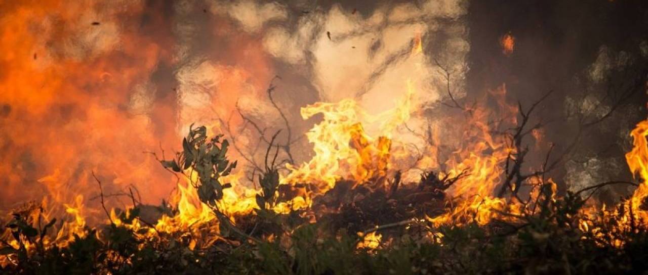 Tega v naravi zdaj ne smete početi, sicer vam grozi tudi 6000 tisoč evrov kazni