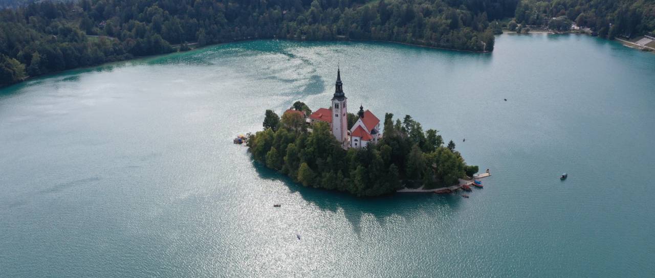 Turistični vodniki na Bledu opozarjajo: Delo jim prevzemajo taksisti in neusposobljeni tujci
