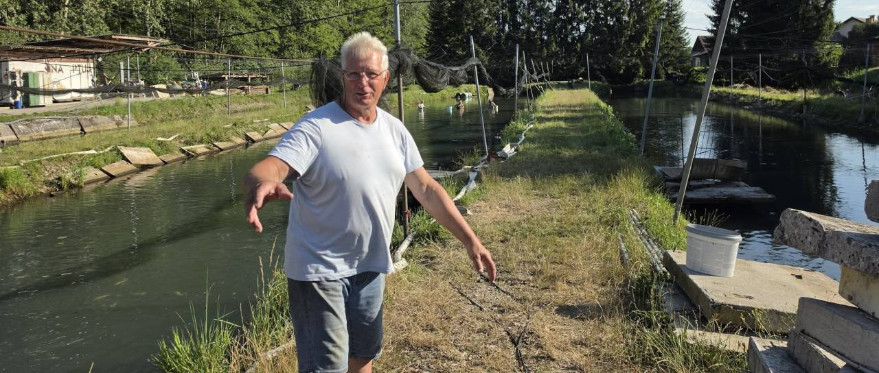 Po poginu rib pretreseni Dušan Hrga: »Prihodnost ribogojnice je negotova, ostali smo brez vsega«