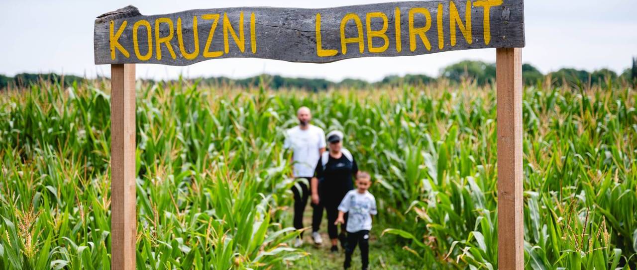 Znano je, kdaj se v Mariboru začne poletna dogodivščina med koruzo