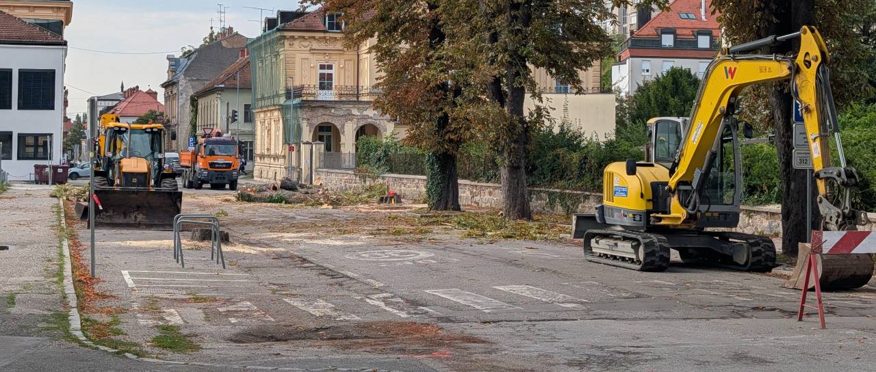 FOTO in VIDEO: Na Trubarjevi ulici padel mogočni kostanjev drevored, Mariborčani zgroženi