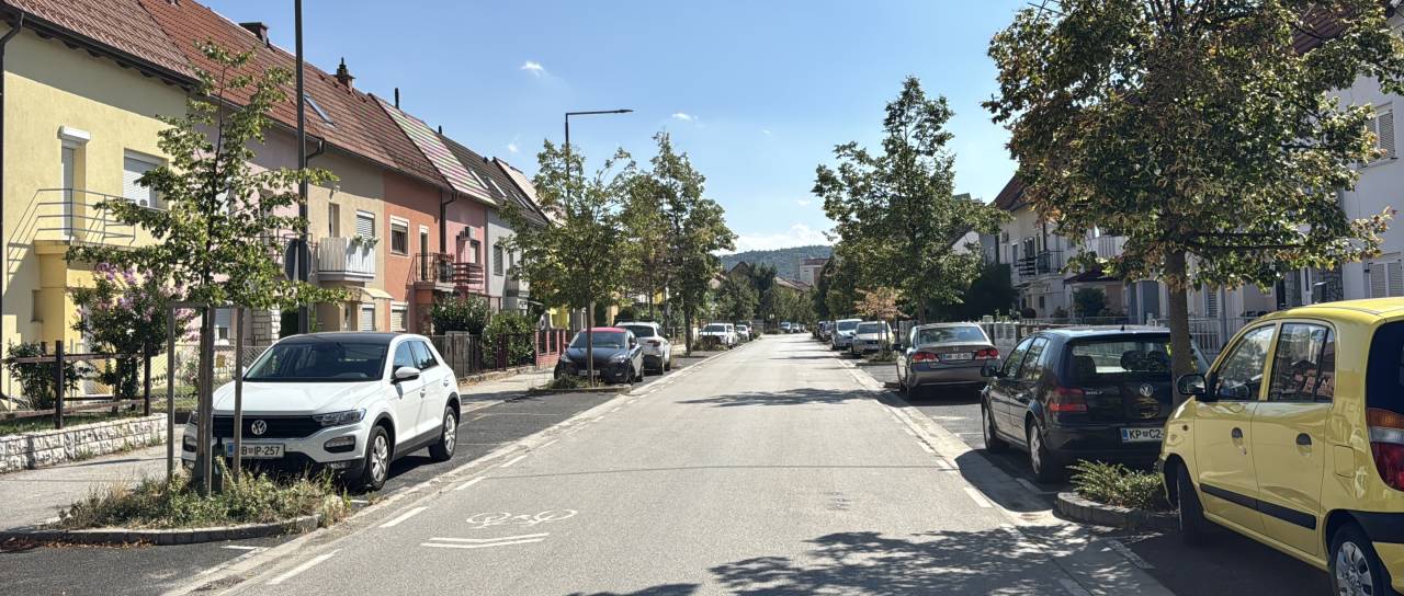 FOTO in VIDEO: Na Trubarjevi padel drevored, Maribor pa je to zgodbo že doživel . Poglejte Cesto zmage danes