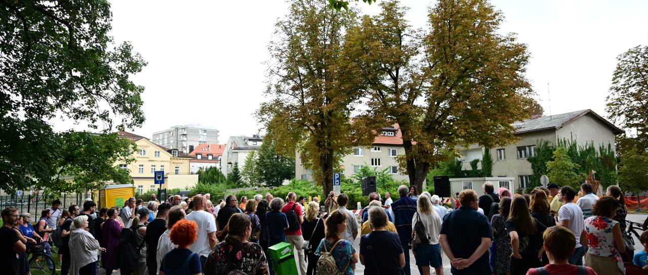 FOTO: V Mariboru danes shod v bran drevesom: Posek je bil preuranjena in nepremišljena poteza