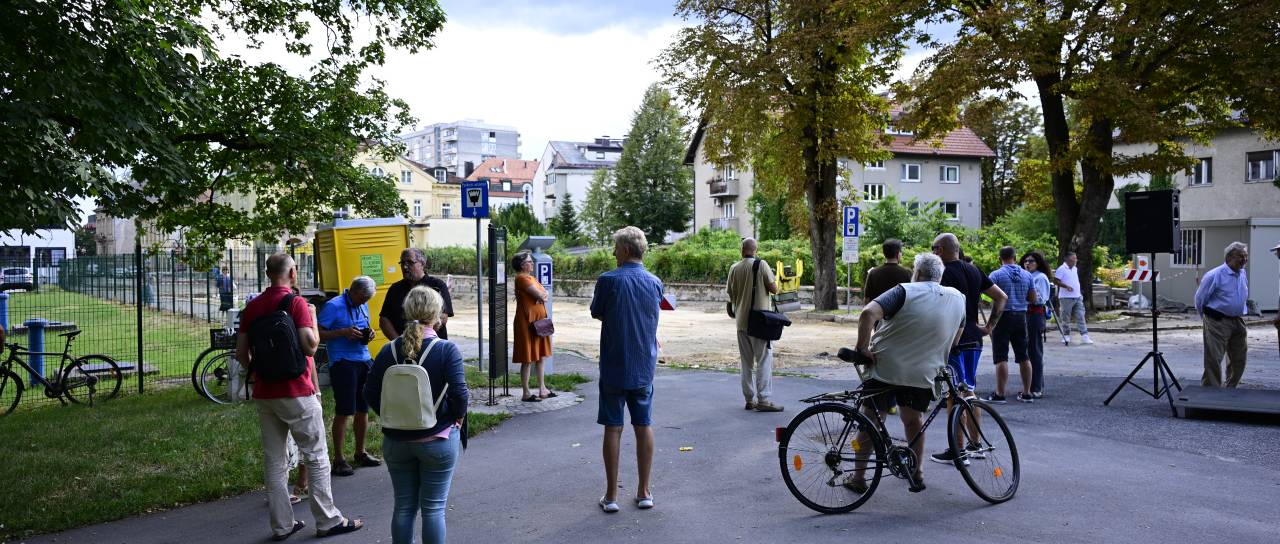 FOTO in VIDEO: V Mariboru danes shod v bran drevesom: Posek je bil preuranjena in nepremišljena poteza